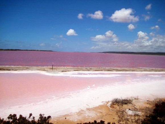 Lake-Retba-Pink-Lake-Senegal-photo-3