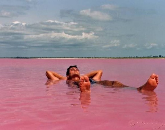 floating-on-lake-retba-the-pink-lake-africa