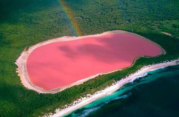 lake-hillier-1[6]