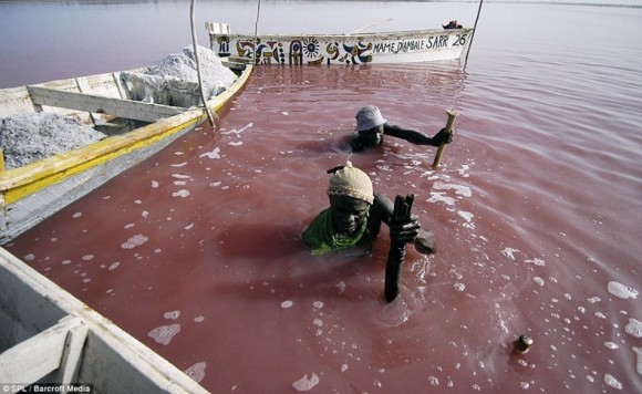 lake-retba-4255B2255D