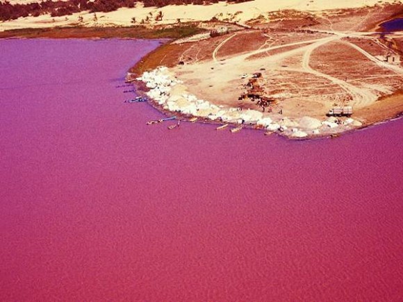 lake_retba_10