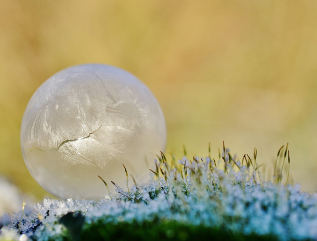 frozen bubbles (4)